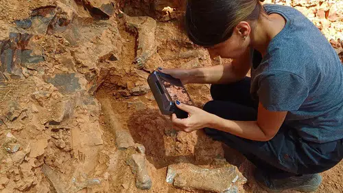 Denizli'deki kazılarda Jurassic parkı çıktı