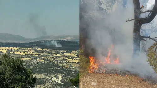 Konya'nın kahramanları kimsenin ruhu duymadan yangını söndürdü. Orman faciası önlendi