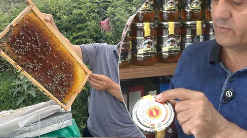 Bu balın kilosu servet değerinde: 50 yılın en verimli hasadı oldu