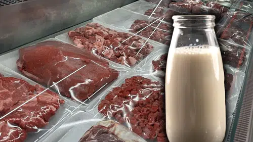Et ve süt fiyatları artacak mı? Şap hastalığı ile ilgili beklenen açıklama geldi