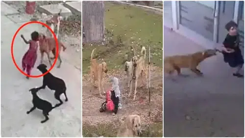 Okullar açılacak vatandaş tedirgin: Belediyeler yasayı uygulamıyor