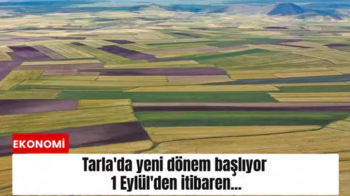 Tarla'da yeni dönem başlıyor: 1 Eylül'den itibaren...