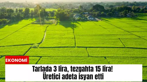 Tarlada 3 lira, tezgahta 15 lira! Üretici adeta isyan etti