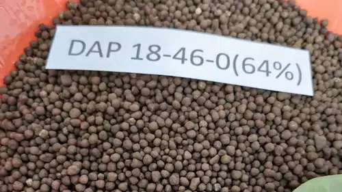 Ekim sezonu öncesi gübreye zam şoku: DAP 35 bin TL oldu