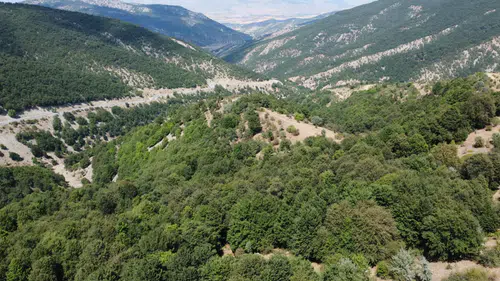 Doğayla iç içe serin bir yayla: Aydıncık Şebek Pınarı