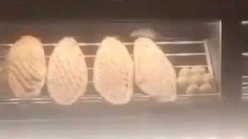 Fırında mide bulandıran görüntü