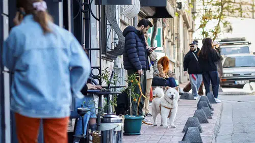 Depremde iletişim soruna Japon modeli