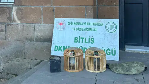 Ceza karşısında pişman oldular: Kaçak keklik avı hüsranla bitti
