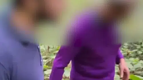 Gören şaşırdı: Baba oğul fındık bahçesinde kadın kıyafetiyle yakalandılar