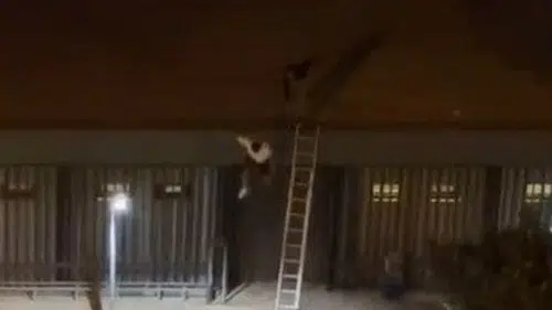 Özel güvenlikçi konseri çatıda kaçak izleyen genci aşağı attı