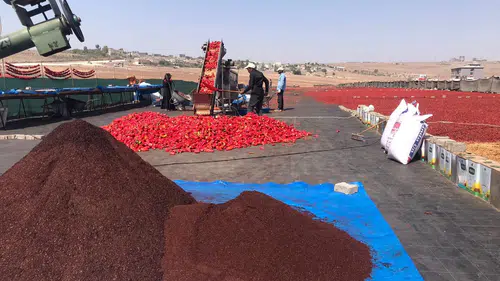 Yemeklerin olmazsa olmazı: 50 derecelik sıcaklıkta bin liraya lezzet