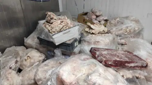 Bu etleri vatandaşa yedireceklerdi: Köftecide tonlarca yakalandı
