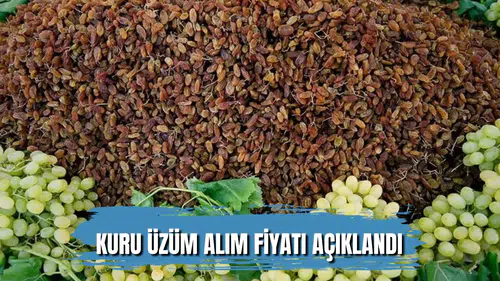 Üzüm üreticisine müjde: TMO kuru üzüm alım fiyatını açıkladı
