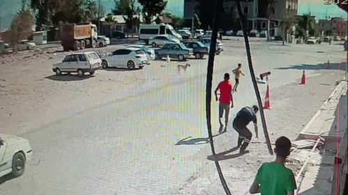 Sahipsiz köpek saldırısı: Çocuklar ölümden döndü