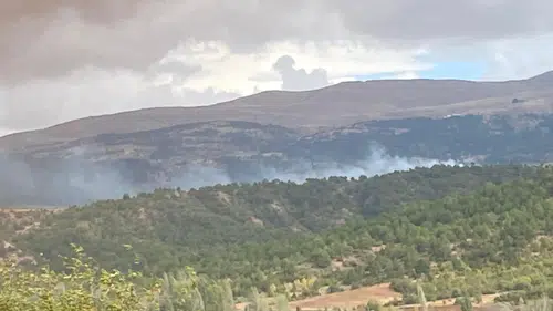 Konya'da korkutan orman yangını! Ekipler seferber oldu
