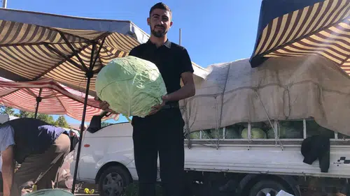 Turşuluk ve sarmalık: O kadar pahalı ki 2-3 komşu bir lahanaya girecek