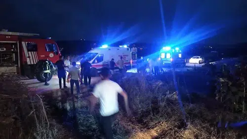 Kestiği ağacın altında kaldı