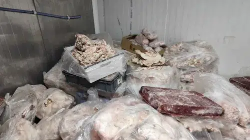 İnsanlara köfte yapıp yedireceklerdi:  11 bin 250 kilo kaçak et ve tavuk