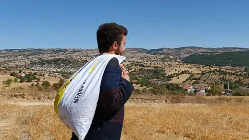 Konya’nın dağlarında bedava şifa deposu: Çuval çuval topluyorlar