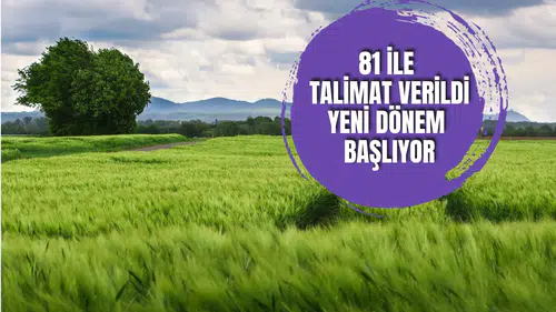 Devletten kiralık tarla projesinde flaş gelişme! 81 ile talimat gönderildi