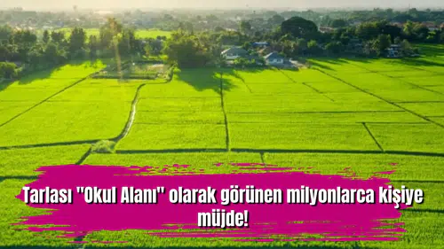 Tarlası "Okul Alanı" olarak görünen milyonlarca kişiye müjde!