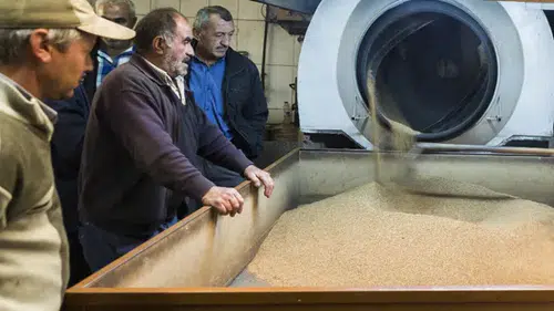 Obeziteyle savaşta yeni reçete: Konya'nın Altın Susam Bozkır tahini diyet reçetelerinde