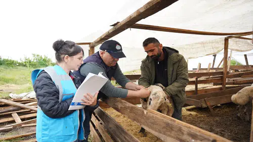 "Bugün fırsatçıların günü": Besiciler kurbanları satmaktan vazgeçtiler