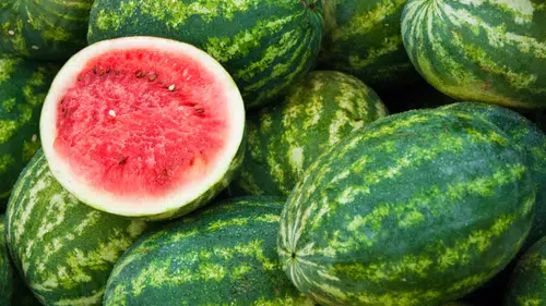 Karpuz fiyatları düşecek: Hasat sezonu başladı