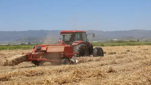 Dev fare istilası: Çevre krizi tarım alanlarını vurdu