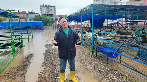 Kurban pazarını sel vurdu, besiciler gözyaşlarına boğuldu
