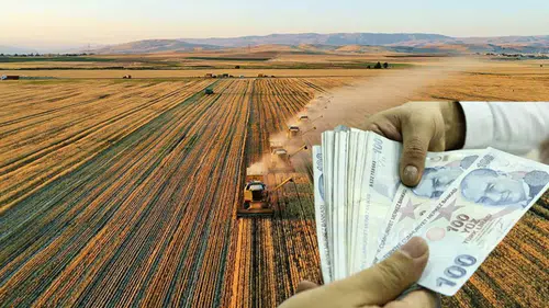 Buğday alım fiyatları açıklandı: 2026 yılında beklentiler karşılanmadı