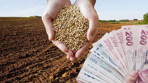 Buğday alım fiyatları 20 TL mi olacak? Üreticiler bekliyor