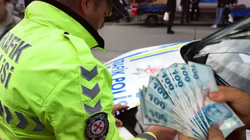 Konya'daki kuş serisi araç sürüsüne rekor ceza! Bir gecede 400 bin TL kesildi
