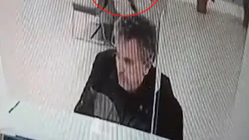 Bankada işlem yaparken üzerine kedi düştü