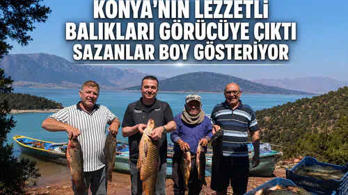 Konya'nın lezzetli balıkları görücüye çıktı: Sazanlar boy gösteriyor