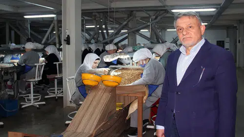Fındık üreticisi dertli: Fiyatlarındaki düşüş sürüyor