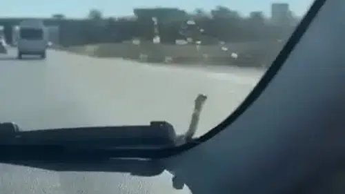 Seyir halindeki aracın kaputunda yılan paniği