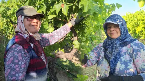 Kadın aklı: İşçilik maliyetini böyle sıfırlandılar