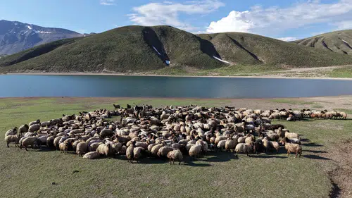 Göçerler 5 aylık yayla sezonunu açtı