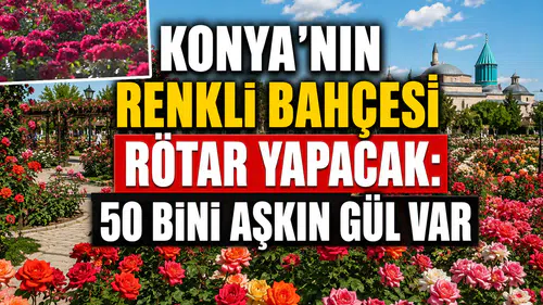 Konya'nın renkli bahçesi rötar yapacak: Binlerce gül hazırlanıyor