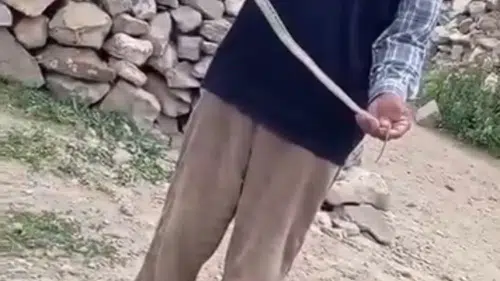 Eve girmeye çalışan yılanı çıplak elle yakaladı