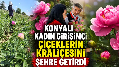 Konyalı kadın girişimci çiçeklerin kraliçesini şehre getirdi