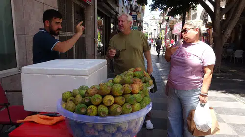 Tanesi 20 liraya sadece serinletmiyor: Kaktüs inciri sağlık deposu