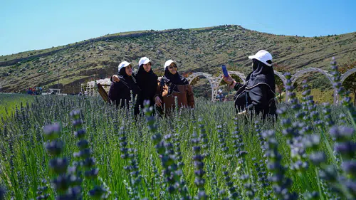Emekli şehri Konya: Şehrin hafızası olan çınarlar baş tacı