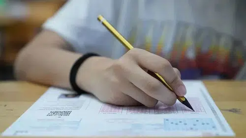 Üniversite okumak ya da meslek edinmek: 12 gün sonra değişecek hayatlar