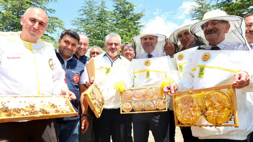 Konya'da en tatlı hasat: 127 bin arı kolonisi bal üretiyor