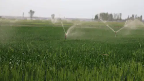 140 bin kaçak kuyu Türkiye'nin tahıl ambarını tehdit ediyor