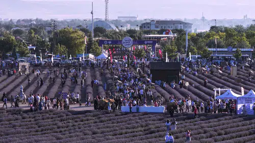 Konyalı vatandaşlar bu hafta festivale akın edecek: Mor Bahçe bekliyor