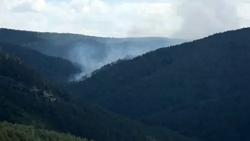 Orman yangınına müdahale sürüyor: 7 helikopter, 4 uçak ve 22 arazöz görevde