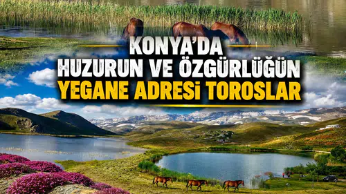 Konya'da huzurun ve özgürlüğün bir numaralı adresi: Toroslar